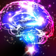 Illustration for article titled How Did Brains Evolve?